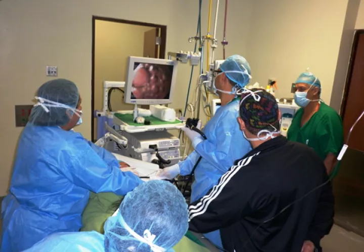 Los equipos de gastroenterología que llegarán está semana son alquilados.
