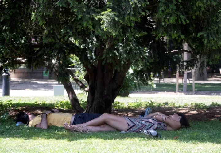 Unos jóvenes descansan bajo la sombra en el Parc de la Ciutadella de Barcelona, ciudad afectada por la ola de calor más intensa en un mes de junio en Cataluña, que alcanzará este viernes las temperaturas máximas, con picos que pueden llegar a los 43 °C en puntos del interior, calor extrema que se mantendrá hasta el domingo. FOTO/EFE