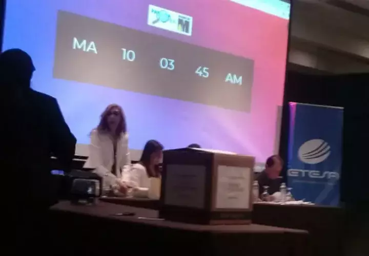 La licitación de la cuarta línea de transmisión ha generado opiniones a favor y en contra por experto en el tema y la sociedad civil. Foto/Diana Díaz