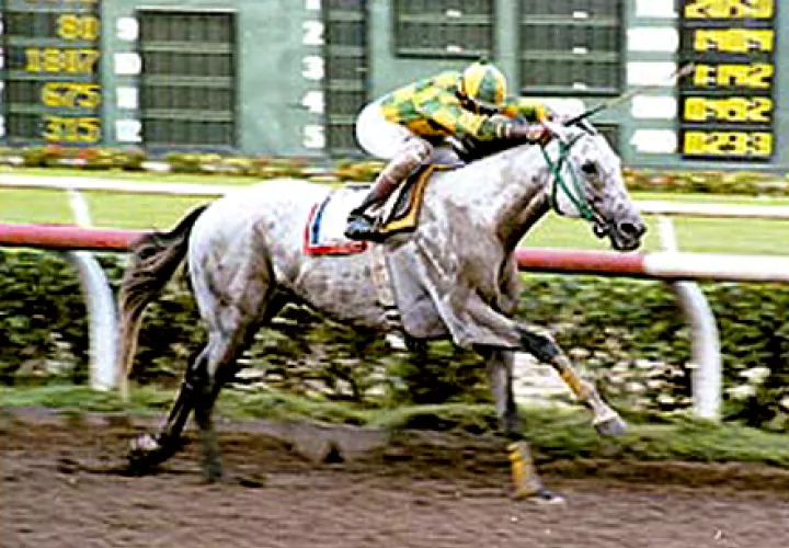 Evaristo fue uno de los favoritos de la afición.