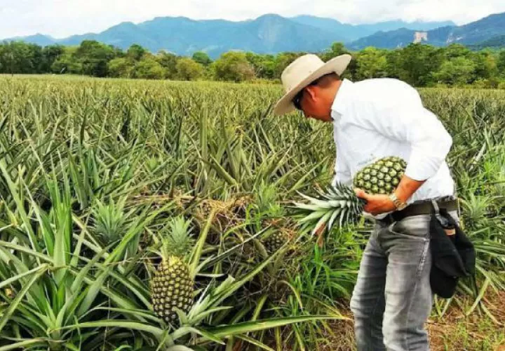 Durante el 2018, Panamá solo exportó 672 millones de dólares. Archivo