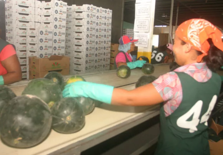 Exportadores son premiados por su esfuerzo.