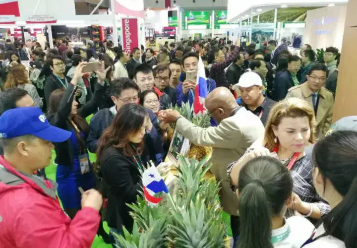 Los participantes recibieron capacitaciones antes de la feria