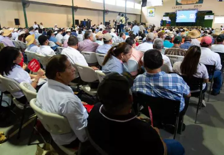 feci-_productores.jpg