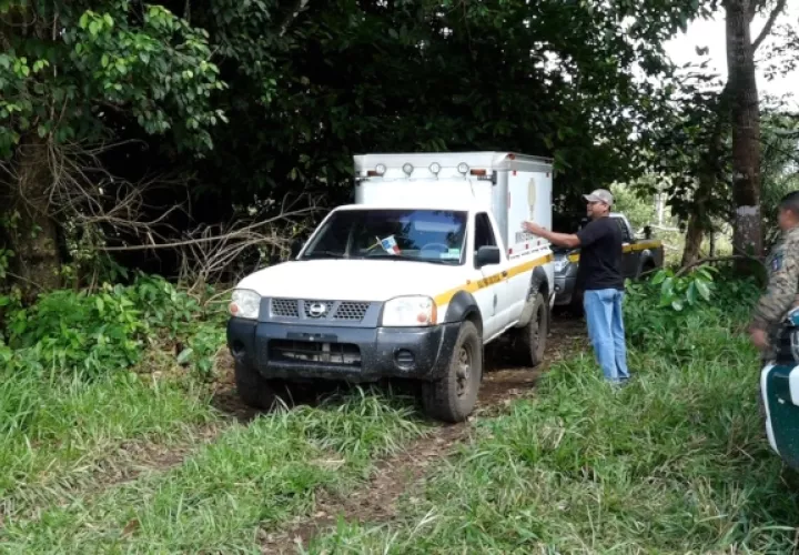El homicidio (femicidio) se registró el 28 de noviembre de 2017 en la comunidad de Balsa en el corregimiento de Los Limones en el distrito de Barú en la provincia de Chiriquí.