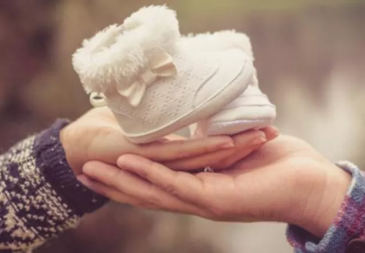 Los asistentes recibirán información acerca de la fertilidad.  Pixabay