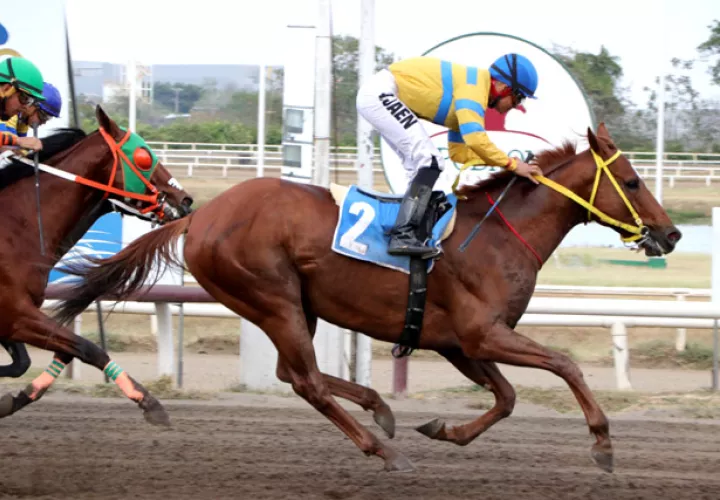 Fray Angélico tratará de sumarse a los nacionales ganadores del Velocidad.