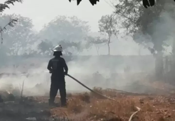 En el operativo de extensión participan mas de 40 unidades de los bomberos, Sinaproc, Servicio Nacional Aeronaval y voluntarios de la comunidad. Foto/José Vásquez