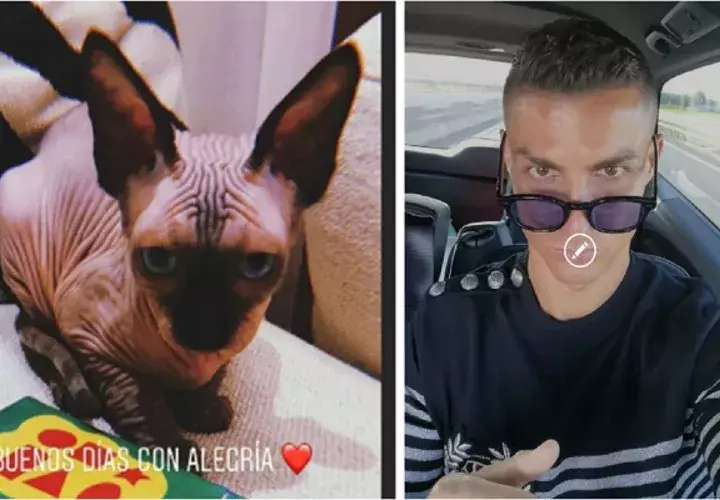 Cristiano adora los animales.