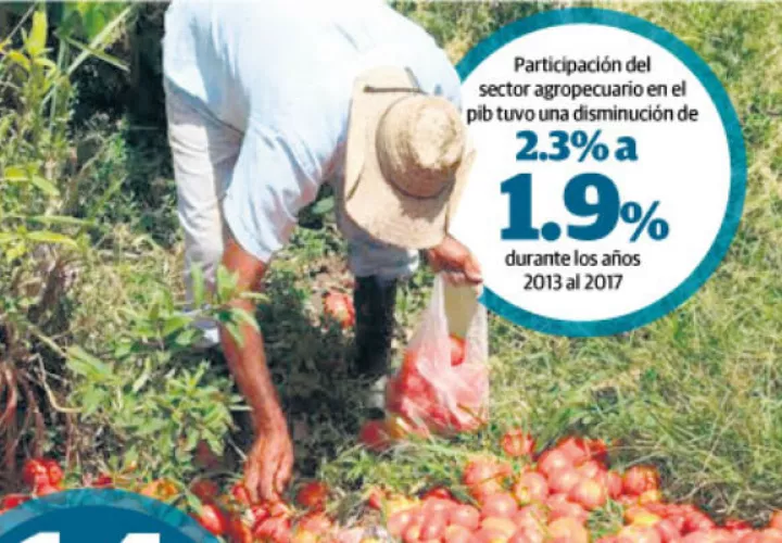 Los nueve puntos son primordiales para que los productores puedan tener un oxígeno
