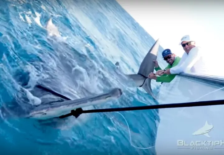 Greg Norman y   Joshua Jorgensen durante la captura del tiburón. Foto Captura