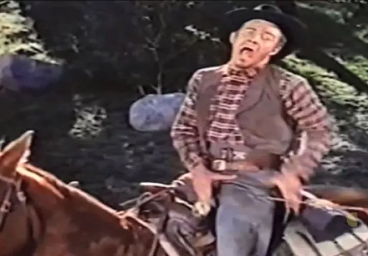 Ha aparecido en decenas de películas desde entonces.