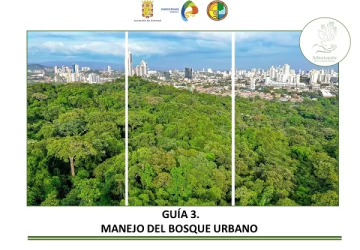 Las guías de arbolado urbano tienen elementos técnicos para el manejo en áreas de servidumbre.