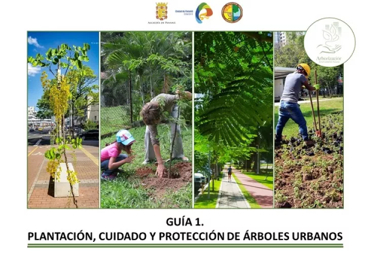Las guías de arbolado urbano tienen elementos técnicos para el manejo en áreas de servidumbre.