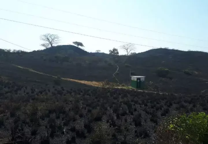 Los bomberos tratan de controla r el incendio forestal que se originó desde el viernes. Foto/Thays Domínguez