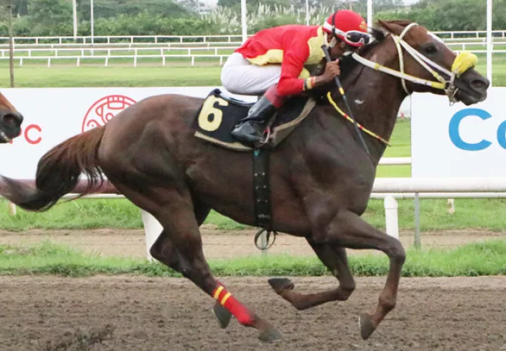 Ey Cuba será uno de los favoritos de la jornada.