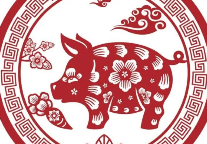 Este es el año del Cerdo Tierra. 