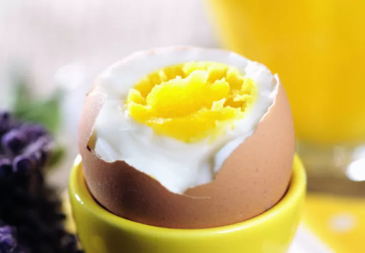 En 2018, la industria avícola produjo unos 704 millones de huevos en todo el país.