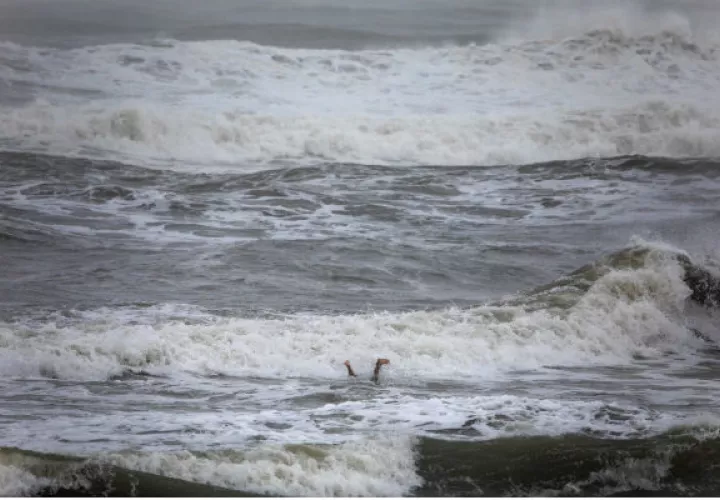 A partir del viernes por la noche pasará por el sureste del extremo sureste de Nueva Inglaterra (noreste de EEUU) y el sábado se aproximará a Nova Scotia (Canadá).