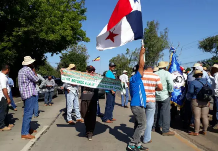 Exigen retiro de cargos contra productores que protestaron en Divisa. Foto: Thays Domínguez.  