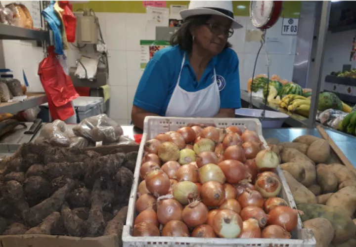 La importación de cebolla ha hecho que productores abandonen la siembra. Archivo