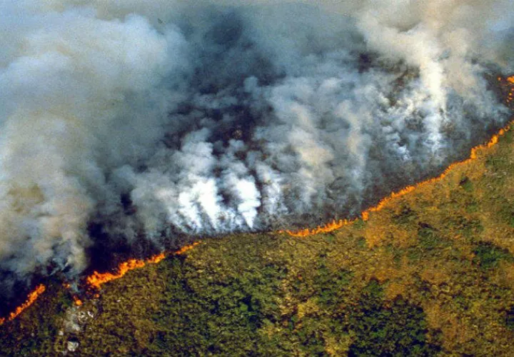 Brasil ha decretado estado de emergencia por los incendios forestales en la selva amazónica.