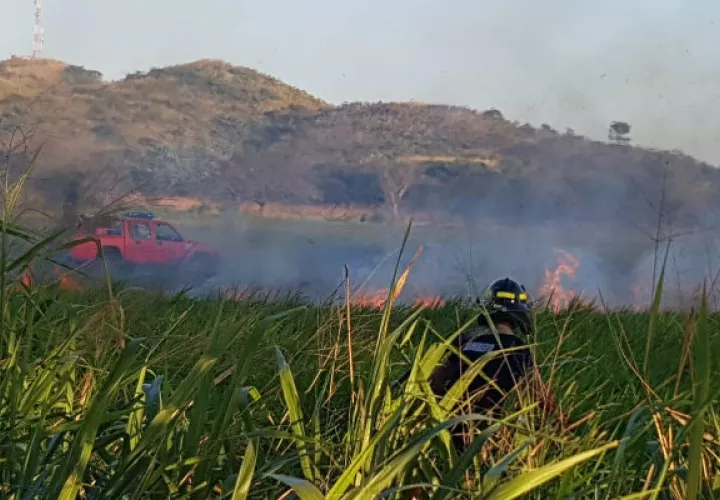 El hecho generó una pérdida económica considerable para el ingenio Calesa, en Coclé. @BCBRP