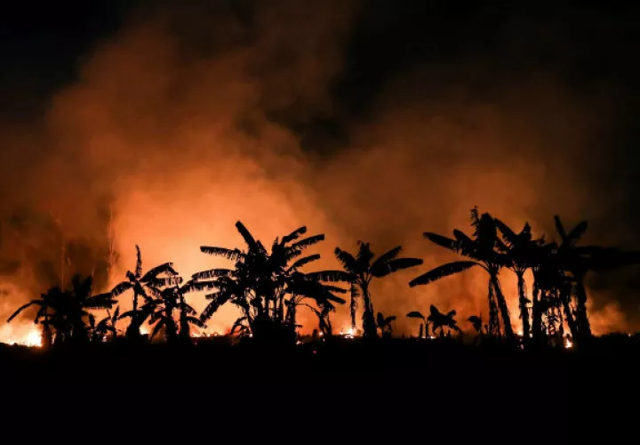 Se atribuye el incendio a la intensa sequía en la región. Foto: EFE/Ilustrativa.
