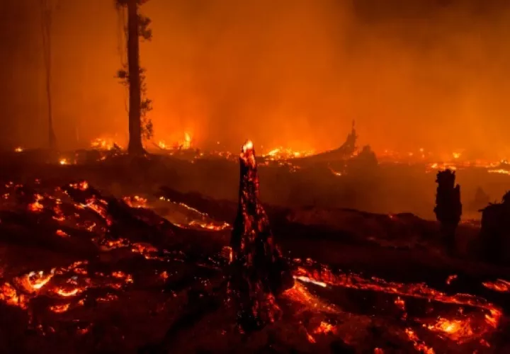 Incendios en Indonesia. Foto/Tomada de Internet