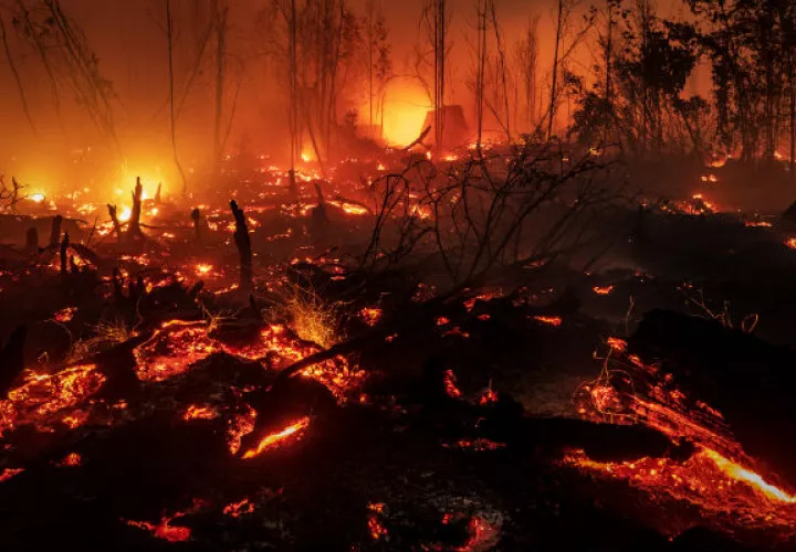 Miles de incendios arden en Indonesia, la mayoría provocados para desmontar terreno para cultivo. Foto/ Ulet Ifansasti/Getty Images.