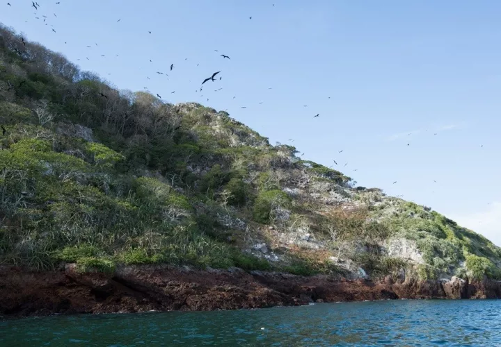 Isla Boná está ubicada en el golfo de Panamá, muy cerca del Canal de Panamá, a 10 millas náuticas de la isla de Taboga.