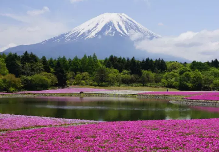 En Japón no deje de visitar el Monte Fuji.  Cortesía