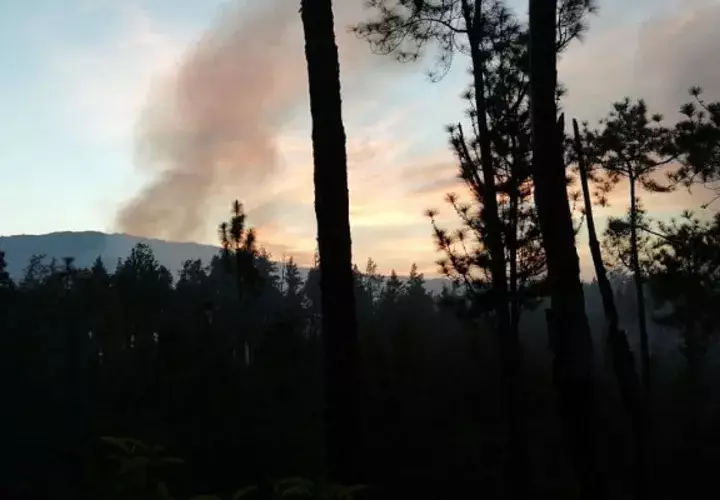 Bomberos rgistran más de 200 atenciones por incendio de masa vegetal. Foto/MiAmbiente