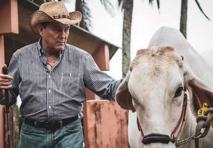Laurentino Cortizo explicó que la operación es absurda e irracional.