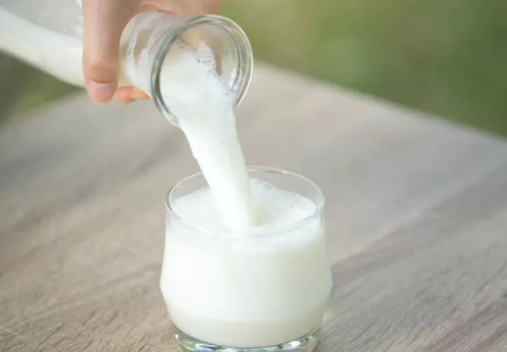 Las leches nutricionales vienen en sabores como vainilla y fresa, para mayor aceptación de los estudiantes.