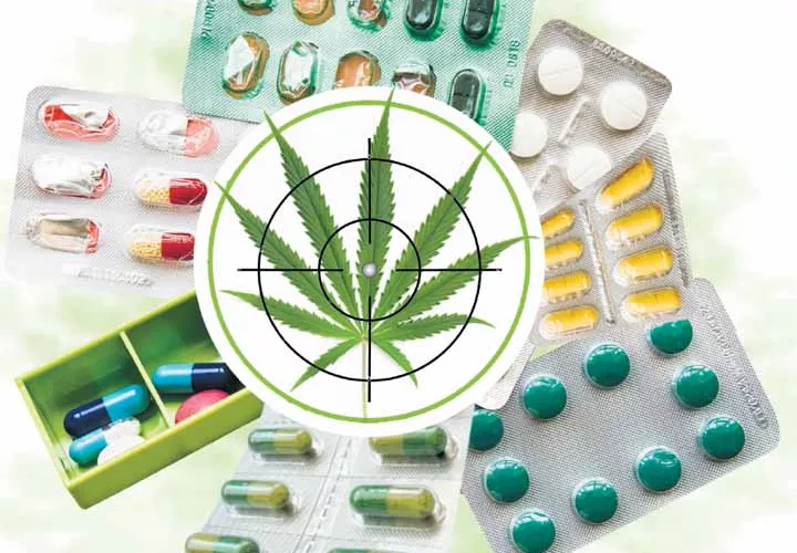 Ley de medicamentos. 