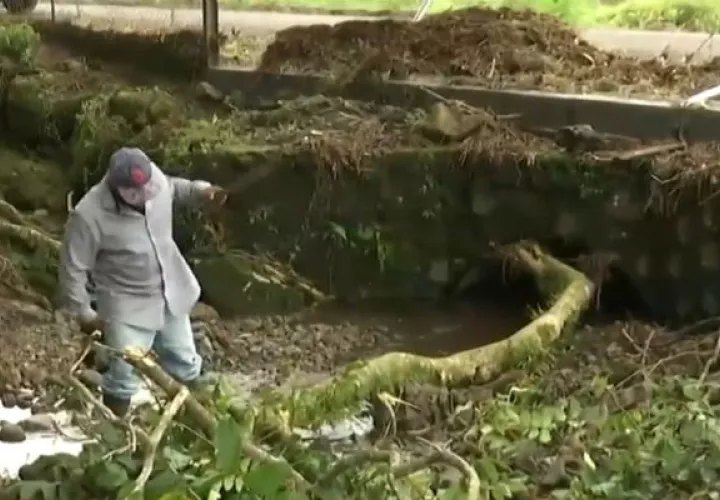 Dijo que la plataforma de gestión de riesgo del Municipio de Boquete, en conjunto con el Sistema Nacional de Protección Civil (Sinaproc), y el Ministerio de Obras Públicas (MOP) efectuaron algunos trabajos de limpieza.