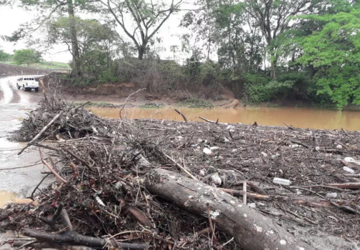 Se observaba gran cantidad de materia vegetal en el cauce del río La Villa. Foto: Thays Domínguez. ,