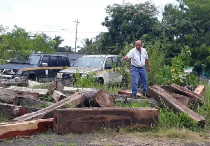 La persona que transportaba las 12 tucas en la provincia de Los Santos deberá enfrentar un proceso.