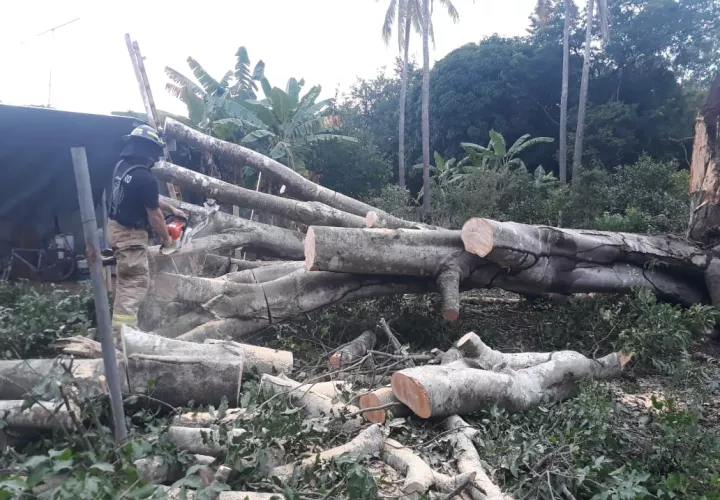 Moradores del lugar indicaron que en horas de la tarde se registró un aguacero acompañado de fuertes vientos, que causaron temor en la población.Foto/Thays Domínguez