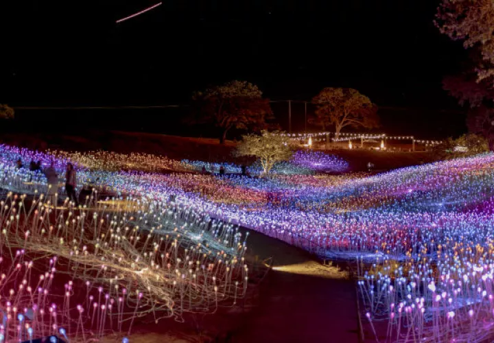 “Field of Light at Sensorio”, instalación de fibra óptica de Bruce Munro, es la primera fase de una atracción inmersiva que mezclará arte y viticultura. Foto/ Jim McAuley para The New York Times.