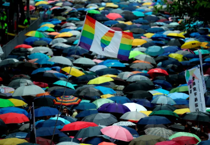 El texto aprobado era el único proyecto de ley que ofrecía además derechos de adopción limitados a las parejas homosexuales.
