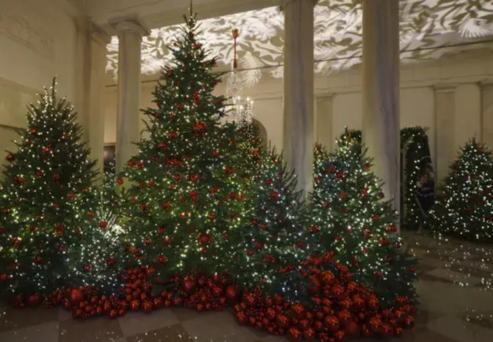 El abeto navideño protagonista se sitúa en la Sala Azul mide 18 metros y está decorado con 150 metros cinta de terciopelo azul bordada en oro con cada estado y territorio. FOTO/AP