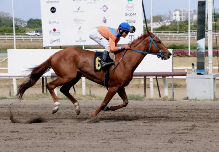 Melody irá en busca de la victoria hoy.