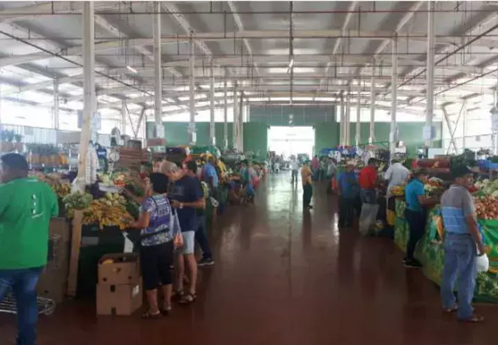Centenares de panameños acuden a diario. Cortesía