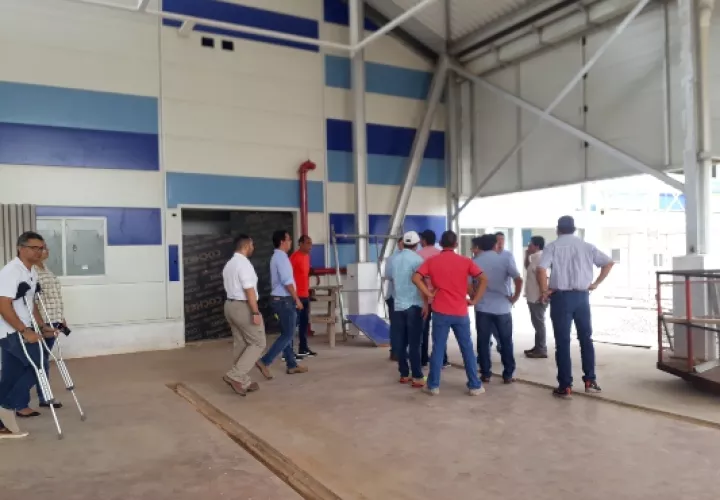 Se espera que la administración del mercado se de a través de la Cadena de Frío, y que los puestos serán otorgados a panameños que se dediquen a la actividad, que serán formalizados. Foto/ Thays Domínguez