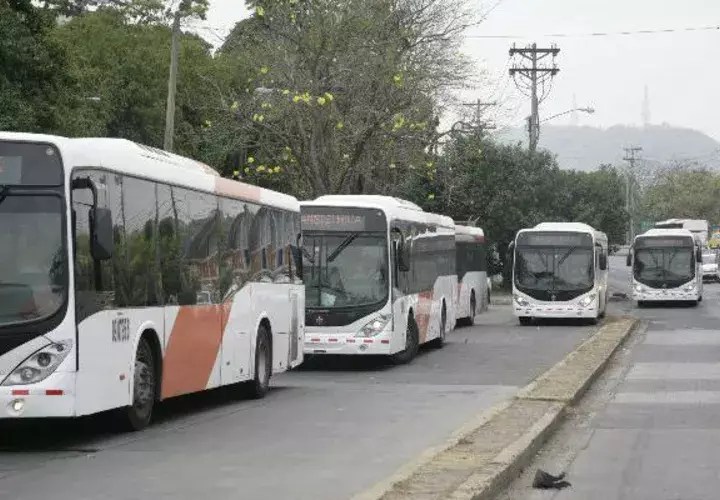 MiBus busca simplificar la información para una mejor visualización.