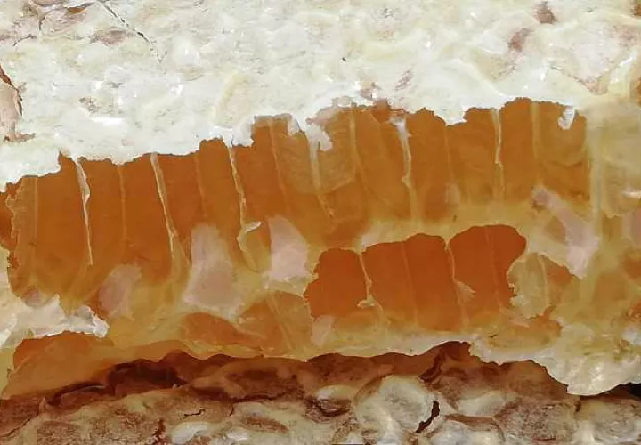 En esta feria podrás probar los sabores de la miel de Panamá.  Cortesía 