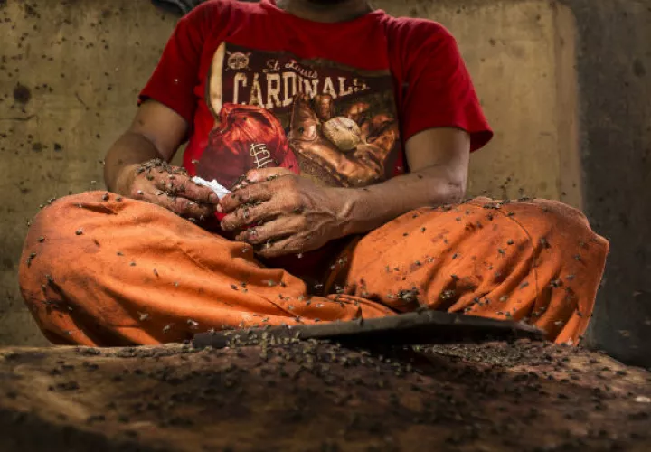 Una doctora dijo que nunca había visto una infestación de moscas como la de Karachi. El puesto de un carnicero. Foto: Mustafa Hussain para The New York Times.