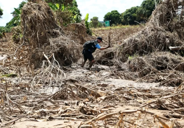 Stephen Fonseca busca cuerpos en un campo de maíz en ruinas en Magaru, Mozambique. FOTO/AP